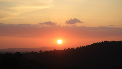 Serene forest horizon glowing with warm sunset