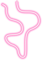 Freeform neon stroke with a modern flowing shape, glowing vibrantly and creating a seamless, dynamic motion.