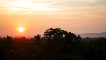Tranquil sunset glow shining warmly across jungle