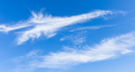 A bright blue sky backdrop with soft, white wispy clouds drifting across the frame