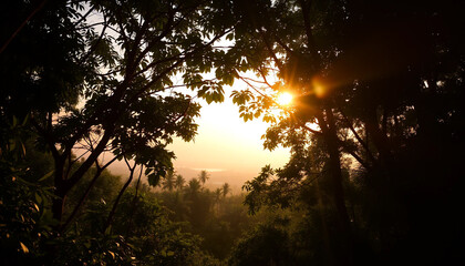 Soft golden light filtering through jungle
