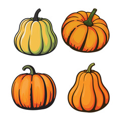 Variety of Squash Illustrations Autumn Harvest Vegetables in Different Forms, Colors and Shapes