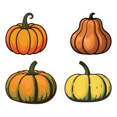 Autumn Squash Assortment Vector Illustrations Harvest Vegetables in Various Shapes and Color Palette