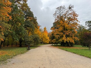 Obraz premium autumn in the park