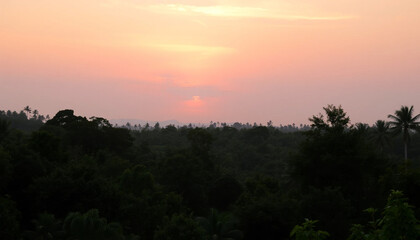 Peaceful jungle scenery glowing under warm sunset