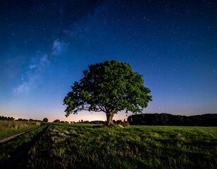A solitary, leafy tree stands prominently on a grassy field under a starry, dark blue night sky. A dirt path leads towards the distant horizon