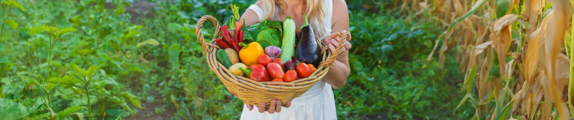 Woman with vegetables in the garden. Selective focus.