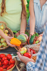 A child at a farmers market with vegetables. Selective focus.