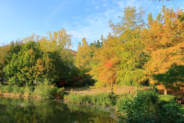 A colourful Autumn woodland scene at Bluewater Lake