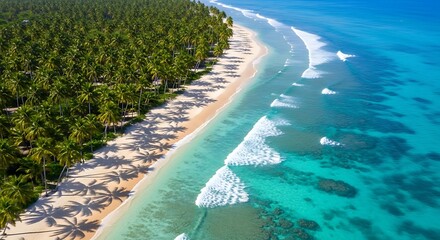 Pristine white sand beach lined with lush palm trees meets turquoise ocean waves, showcasing a breathtaking tropical paradise.
