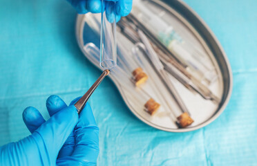 Ticks in the lab for analysis. Selective focus.