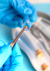 Ticks in the lab for analysis. Selective focus.