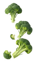 broccoli isolated on transparent white background clipping path