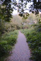 A cobblestone path winds through green plants toward a vintage light post.