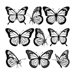 Butterfly collection, fireflies and butterflies icons on white background. New hand drawn vector illustration design.