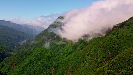 Obraz premium Vivid green mountains slopes aerial view. Scenic landscape with dense forest
