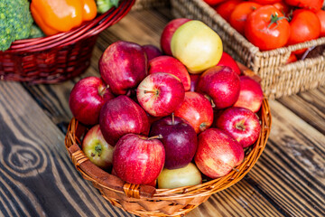 Apple orchard in morning. Autumn fruit farming. Health and diet. Summer harvest. Harvest in autumn orchard. Apple fruit. Orchard with ripe apple in basket. Apple fruit vitamin. Healthy eating