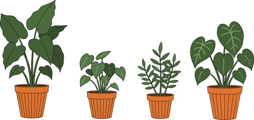 Terracotta potted plants, leaf shape variety, botanical illustration, indoor greenery, cozy home decor, nature art, plant diversity, foliage study