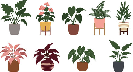 Stylish potted houseplants, indoor foliage variety, heart-shaped leaves, flowering decor, tropical plant icons, botanical vector set, modern pot design