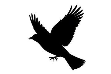 Fototapeta premium A black bird silhouette soars gracefully, wings outstretched, conveying freedom and flight.
