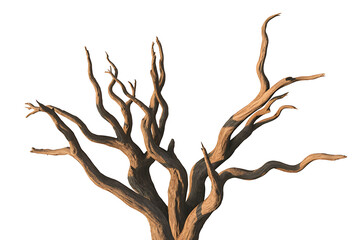 Twisted, bare branches reach upwards against a bright, neutral background, evoking starkness.