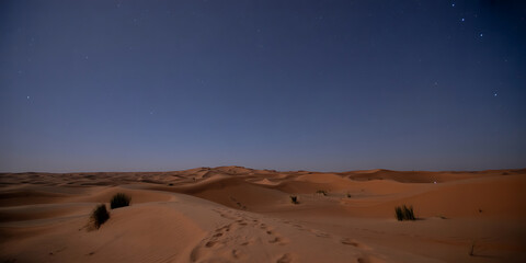 Vast desert landscape under a starry night sky, evoking tranquility and the beauty of nature.