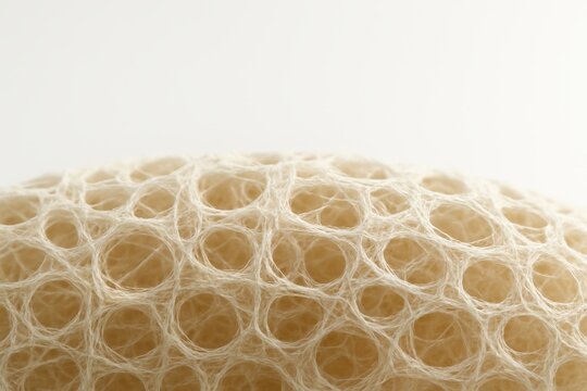 Macro close-up of a chitosan biopolymer structure with fibrous porous texture, highlighting natural material science and biomimetic design in warm neutral tones