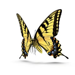 Obraz premium Realistic yellow swallowtail butterfly isolated on white flying midair
