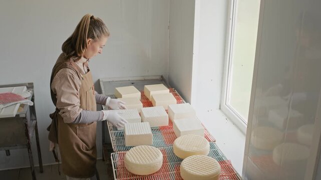High angle shot of skilled young Caucasian female cheesemaker in apron and gloves flipping artisan cheese draining on mat in light modern workshop