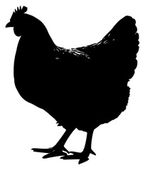 a black silhouette of a hen on a transparent background, black, chicken, hen, rooster, silhouette, stand, white 