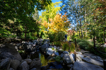 Serene Forest Scene with Person and Stream