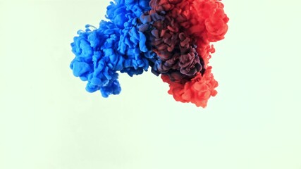 Blue and red ink in water on a white background. Filmed on a high-speed camera at 1000 fps. High quality FullHD footage - Powered by Adobe