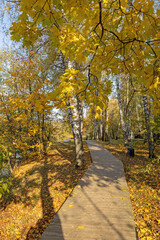 Autumn alley in Ostafievo Park