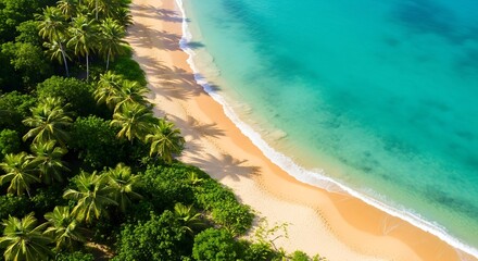 Lush tropical vegetation borders a pristine, golden-sand beach, where turquoise water gently laps the shore.  A high-angle view captures the serene beauty of a secluded paradise.