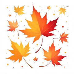 Obraz premium maple leaves isolated on white