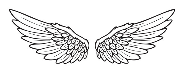 Obraz premium Black and white outline drawing of symmetrically spread, detailed angel wings with layered feathers and intricate patterns.