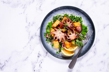 Grilled octopus dish, with baked potatoes, and fresh herbs, on a marble table, homemade, no people