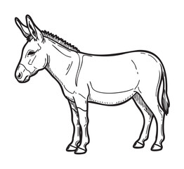 Black outline of a donkey in a standing position, showcasing its distinctive features including long ears and a short mane.