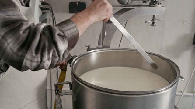 Tilt down shot of focused Caucasian senior male cheesemaker wearing apron cutting curd in large metal vat using professional long knife, crafting delicious artisan cheese in workshop