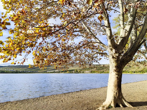 Lisi Lake in Tbilisi, Georgia. A beautiful landscape of lisi lake in Autumn or Summer in Tbilisi, Georgia