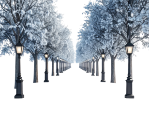 A long symmetrical winter alley with snowy trees and lampposts.