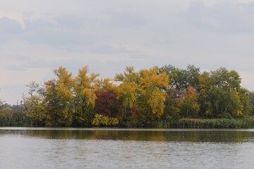 Beautiful autumn landscape with lake, trees and birds on the water