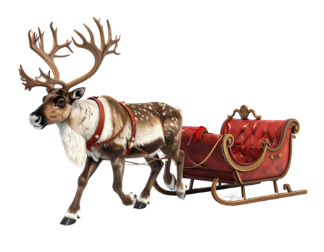 A majestic reindeer with large antlers pulling a classic red and gold Christmas sleigh.