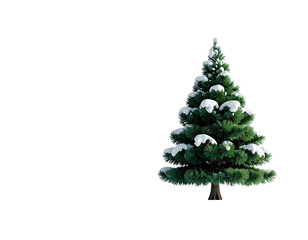 Fototapeta premium A beautiful green Christmas tree covered in fresh white snow isolated on a white background.