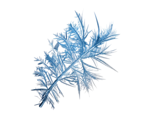 A single intricate blue ice crystal isolated on a white background.