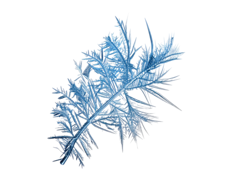 A single intricate blue ice crystal isolated on a white background.