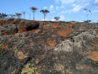 Burnt earth landscape with exposed red soil and charred vegetation under blue sky — symbolizing...