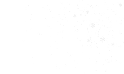 Falling Snow Overlay &ndash; Transparent Background Winter Effect. PNG
