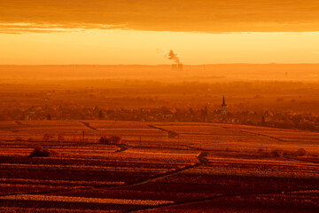 Herbstliche Weinberge in der Pfalz bei Sonnenaufgang mit Blick über die Rheinebene von St. Martin und Weyher und Edenkoben