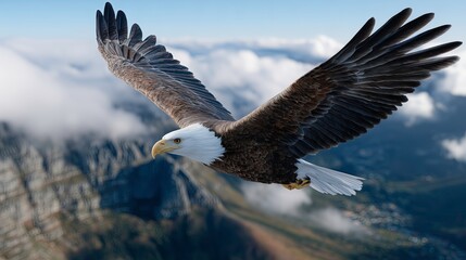Obraz premium Bald eagle flying through clouds over mountainous landscape 